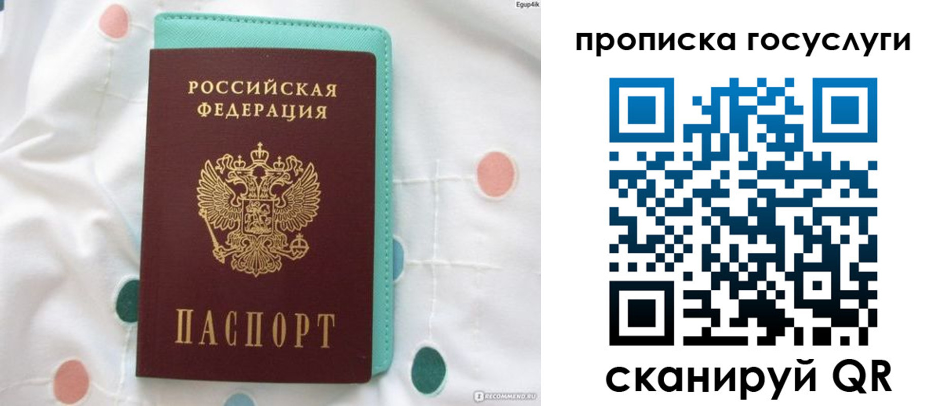прописка поиск в Тольятти